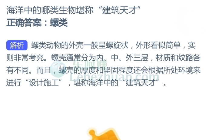 海洋中的哪类生物堪称“建筑天才”?