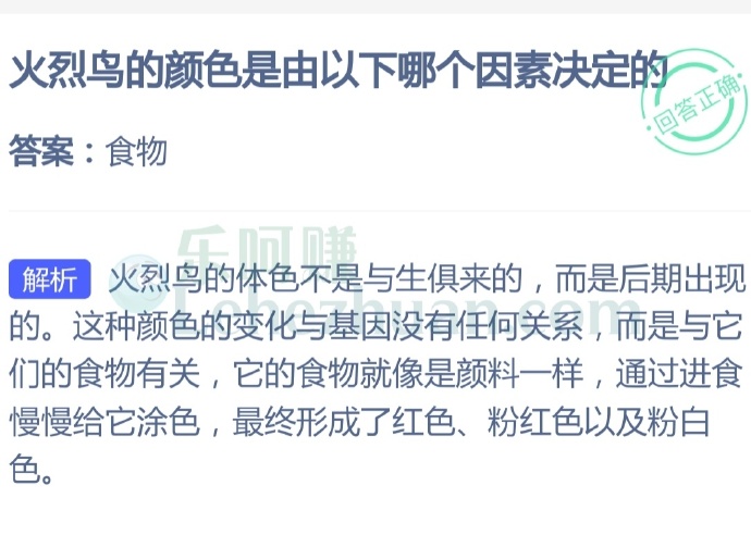 火烈鸟的颜色是由以下哪个因素决定的?