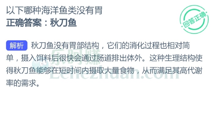 以下哪种海洋鱼类没有胃?