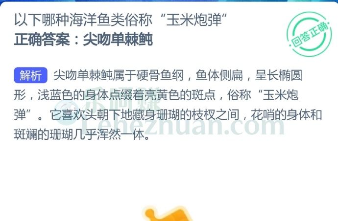 以下哪种海洋鱼类俗称“玉米炮弹”?