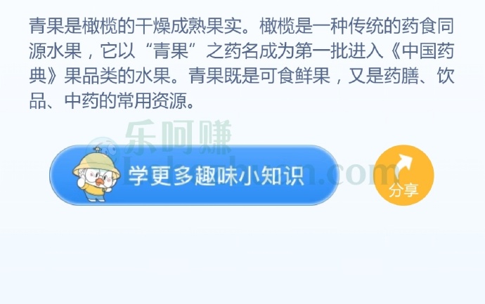 中药材“青果”指的是哪种植物的果实?