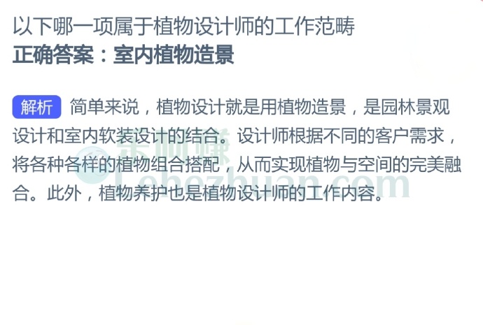 以下哪一项属于植物设计师的工作范畴?