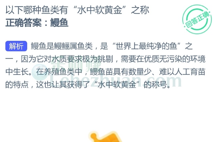 以下哪种鱼类有“水中软黄金”之称?
