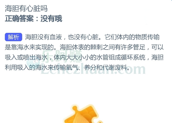 海胆有心脏吗?