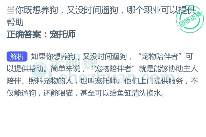 当你既想养狗,又没时间遛狗,哪个职业可以提供帮助?