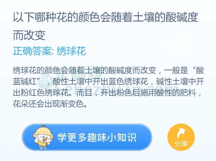 以下哪种花的颜色会随着土壤的酸碱度而改变?