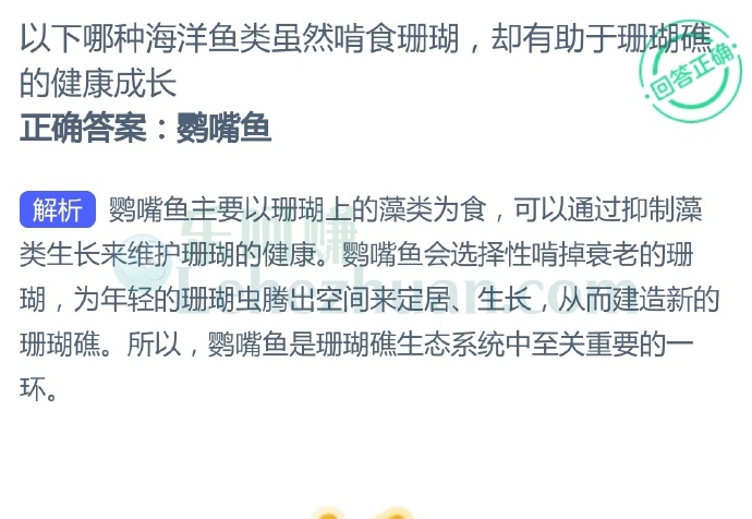 以下哪种海洋鱼类虽然啃食珊瑚,却有助于珊瑚礁的健康成长?