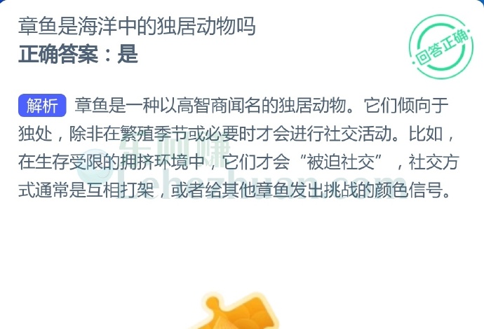 章鱼是海洋中的独居动物吗?