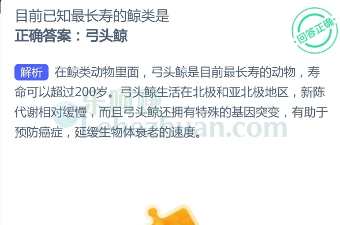 目前已知最长寿的鲸类是?