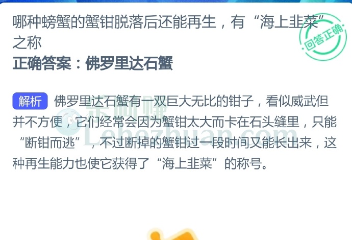 哪种螃蟹的蟹钳脱落后还能再生,有“海上韭菜”之称?