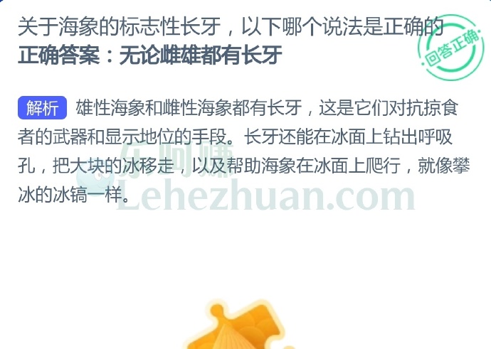 关于海象的标志性长牙,以下哪个说法是正确的?