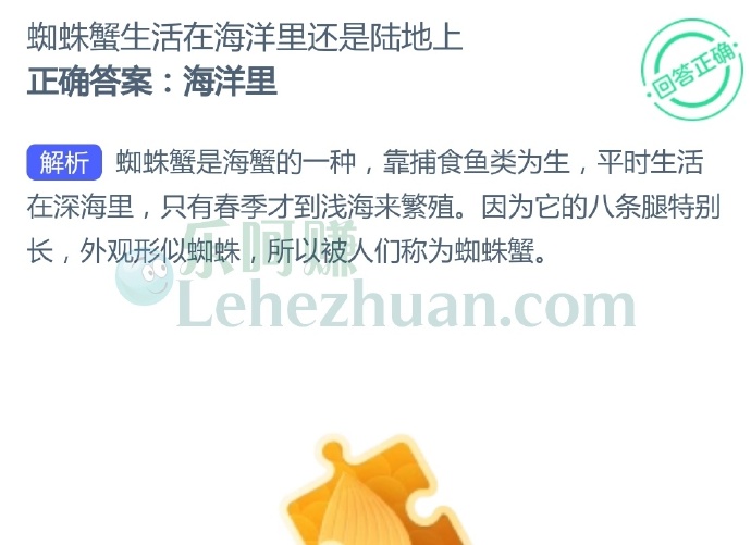 蜘蛛蟹生活在海洋里还是陆地上?