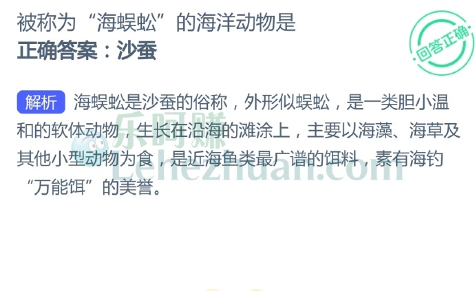 被称为“海蜈蚣”的海洋动物是?