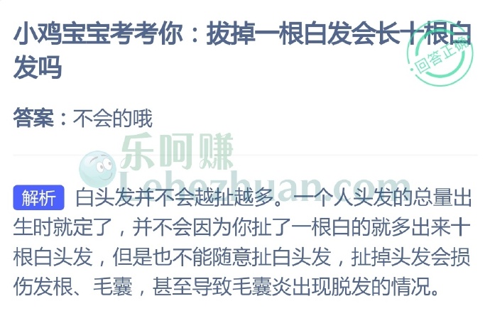 拔掉一根白发会长十根白发吗?
