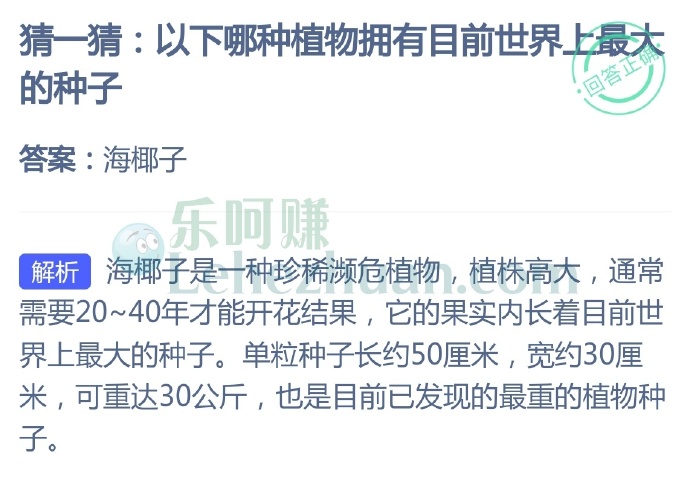 以下哪种植物拥有目前世界上最大的种子?