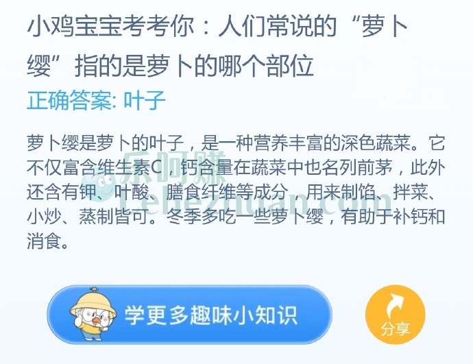 人们常说的“萝卜缨”指的是萝卜的哪个部位?