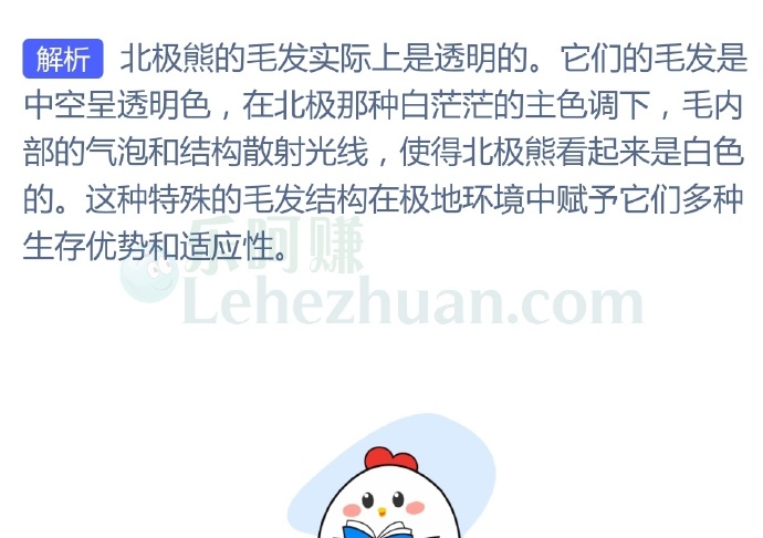 动物冷知识,北极熊的毛发是什么颜色?