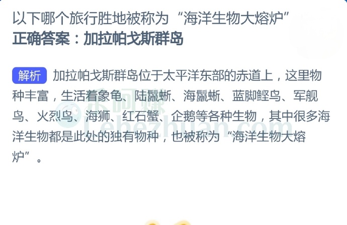 以下哪个旅行胜地被称为“海洋生物大熔炉”?