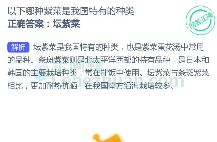 以下哪种紫菜是我国特有的种类?
