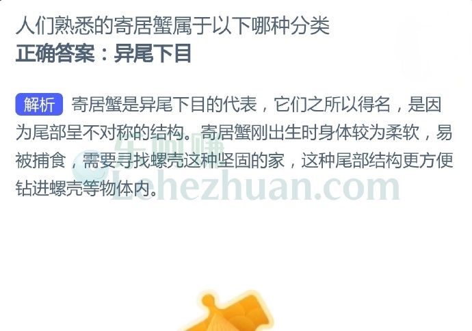 人们熟悉的寄居蟹属于以下哪种分类?