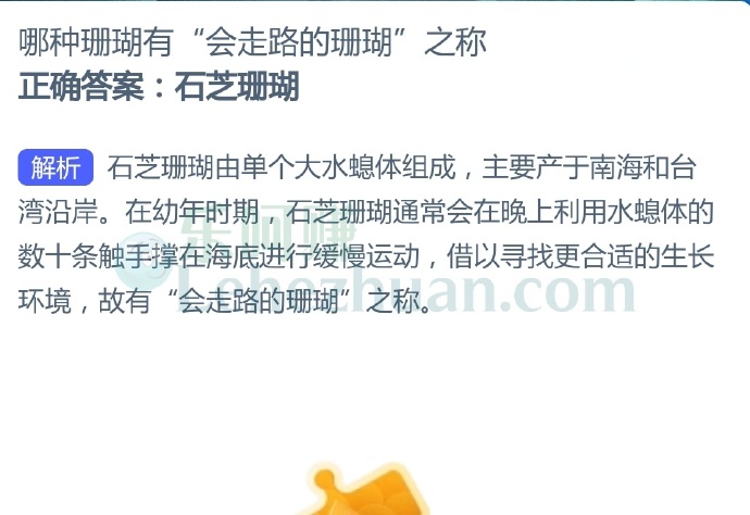 哪种珊瑚有“会走路的珊瑚”之称?