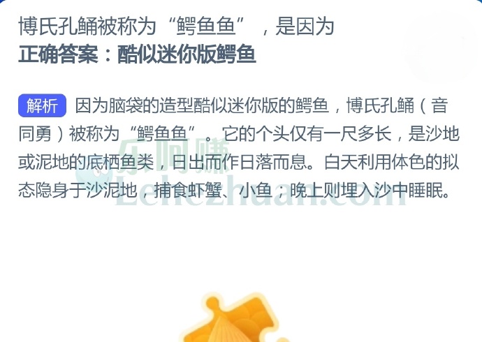 博氏孔蛹被称为“鳄鱼鱼”是因为?