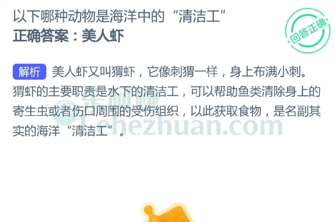 以下哪种动物是海洋中的“清洁工”?