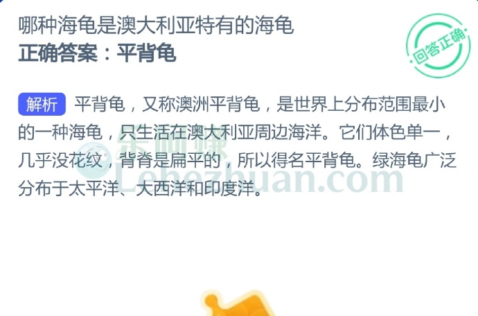 哪种海龟是澳大利亚特有的海龟?