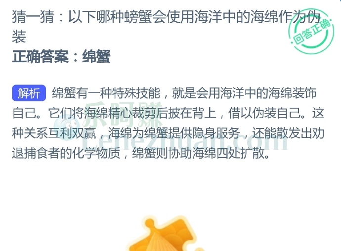 以下哪种螃蟹会使用海洋中的海绵作为伪装?