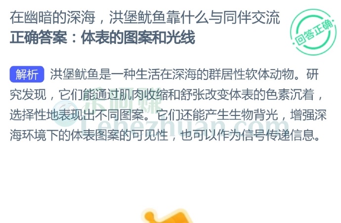 在幽暗的深海,洪堡鱿鱼靠什么与同伴交流?
