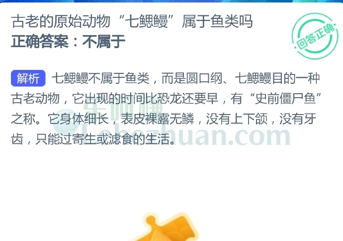 古老的原始动物“七鳃鳗”属于鱼类吗?