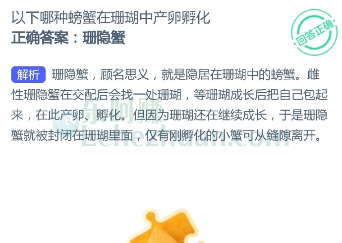 以下哪种螃蟹在珊瑚中产卵孵化?