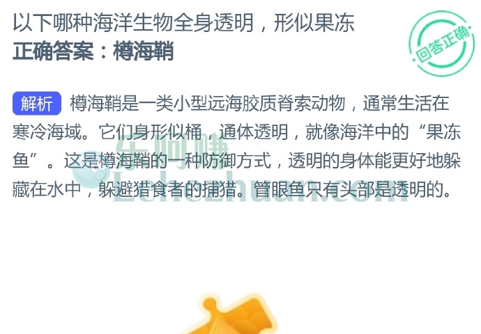 以下哪种海洋生物全身透明,形似果冻?