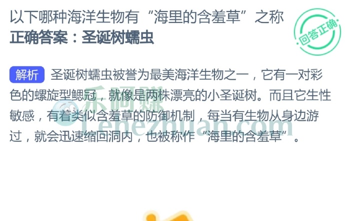 以下哪种海洋生物有“海里的含羞草”之称?