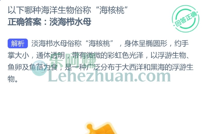 以下哪种海洋生物俗称“海核桃”?