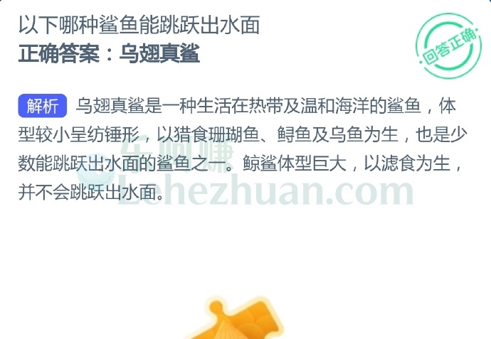 以下哪种鲨鱼能跳跃出水面?