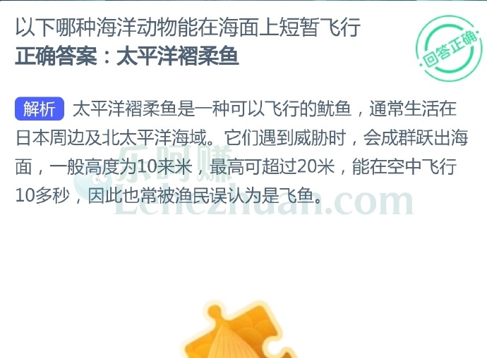 以下哪种海洋动物能在海面上短暂飞行?