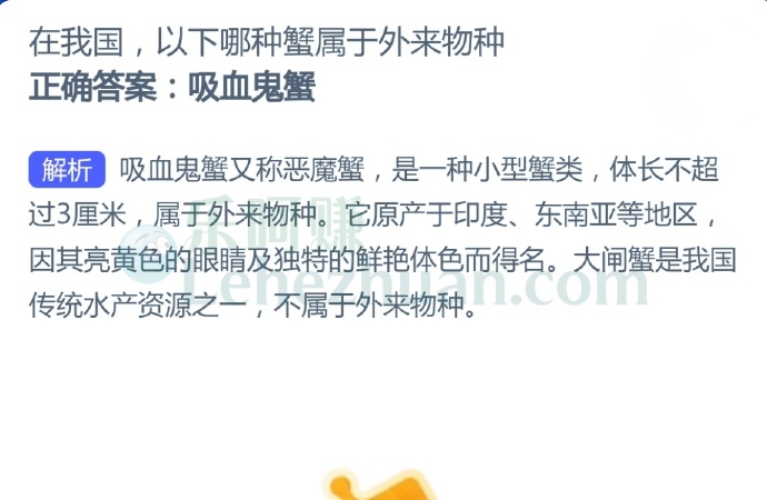在我国,以下哪种蟹属于外来物种?