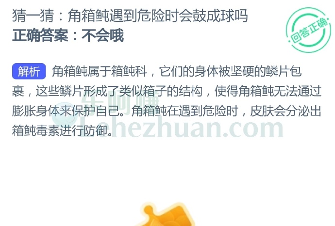 角箱鲀遇到危险时会鼓成球吗?