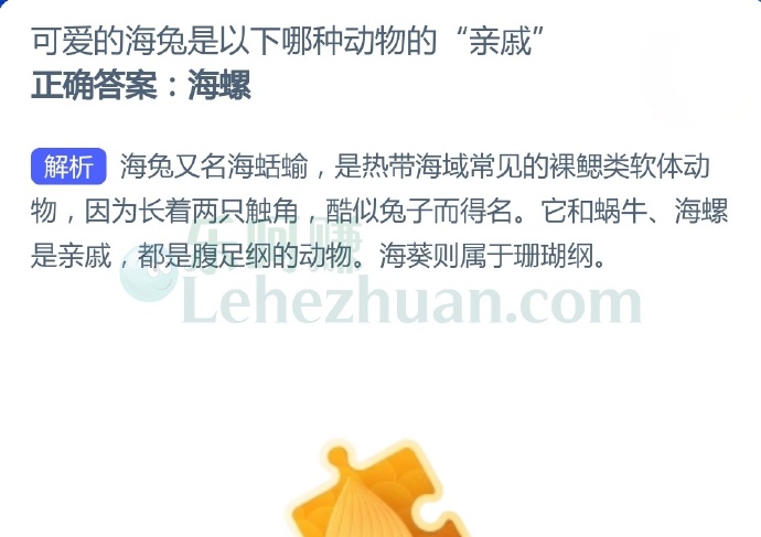 可爱的海兔是以下哪种动物的“亲戚”?