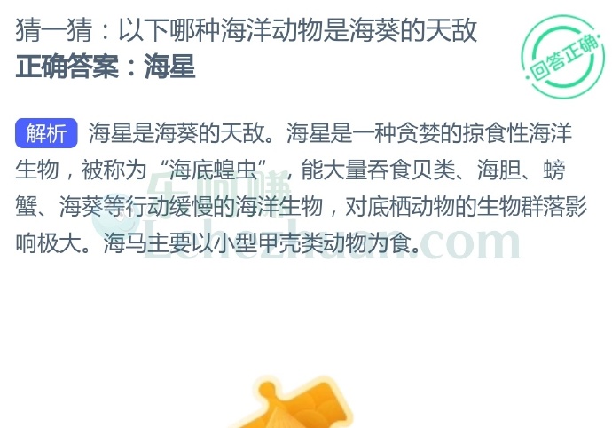 以下哪种海洋动物是海葵的天敌?