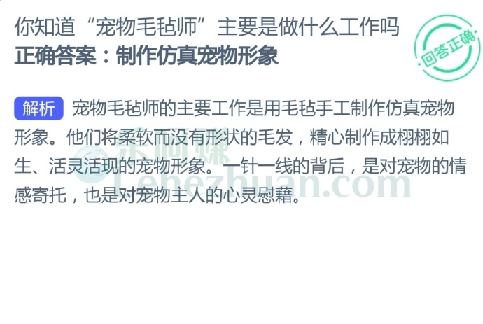 你知道“宠物毛毡师”主要是做什么工作吗?