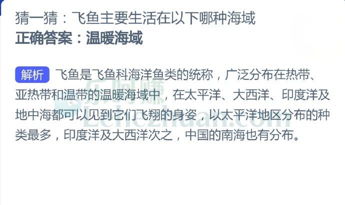 飞鱼主要生活在以下哪种海域?
