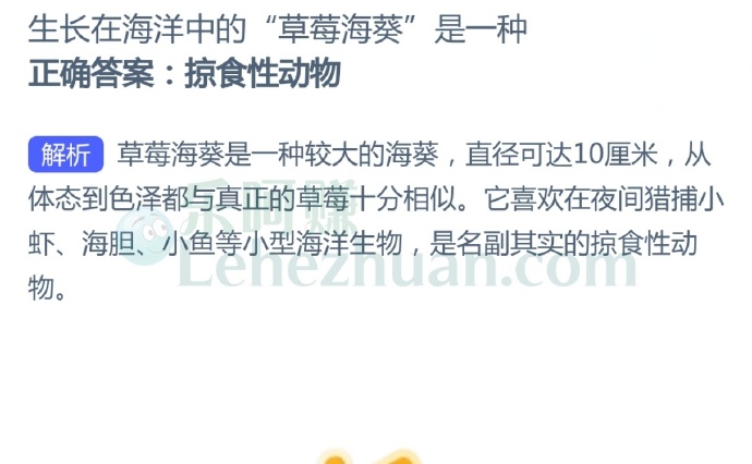 生长在海洋中的“草莓海葵”是一种?
