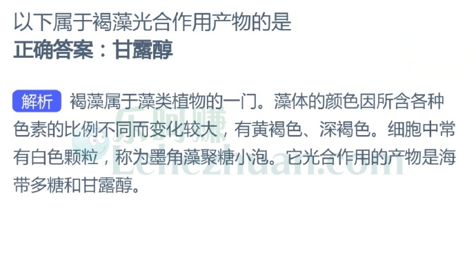 以下属于褐藻光合作用产物的是?
