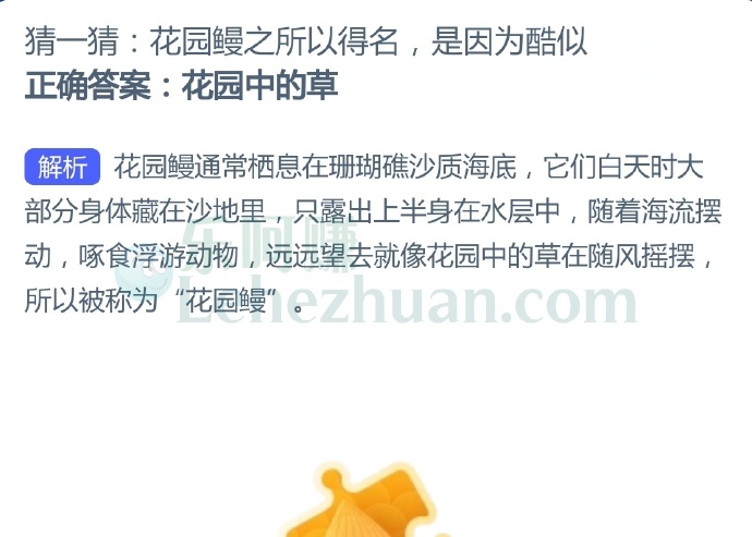 花园鳗之所以得名,是因为酷似?