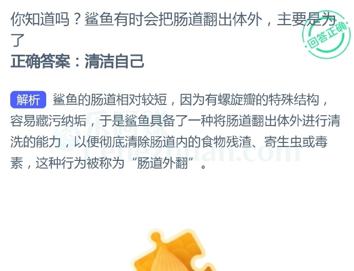 鲨鱼有时会把肠道翻出体外主要是为了?