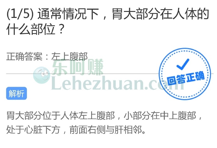 通常情况下,胃大部分在人体的什么部位?