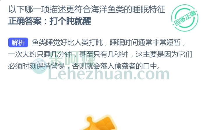 以下哪一项描述更符合海洋鱼类的睡眠特征?