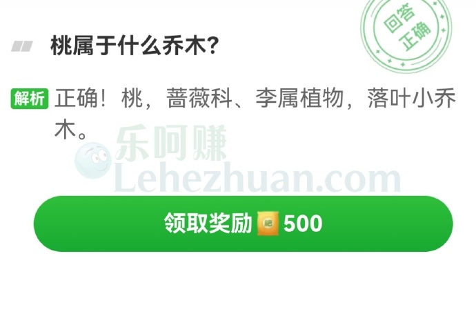 桃属于什么乔木?